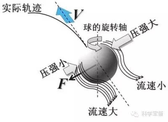 (6)喷雾器