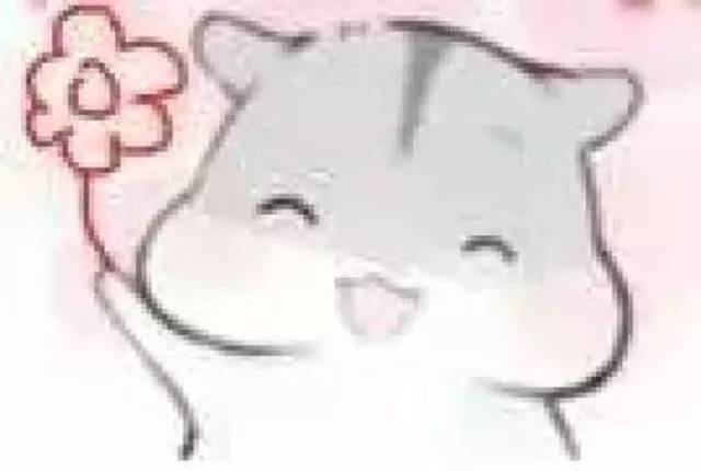 一周资讯丨厦门成下届金鸡百花奖举办地,集美出了个世界冠军!真