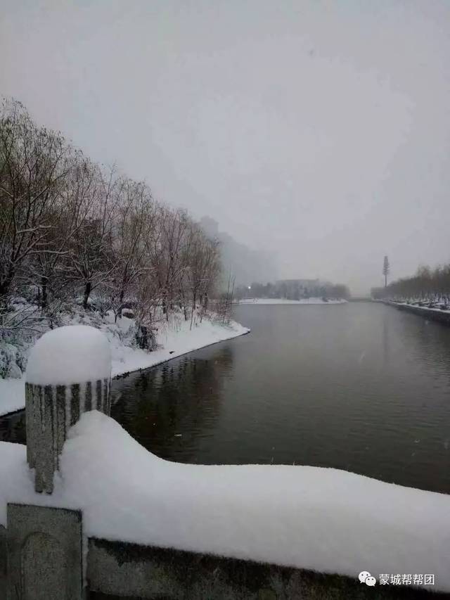 安徽下雪了!看看蒙城的雪景,太美了.