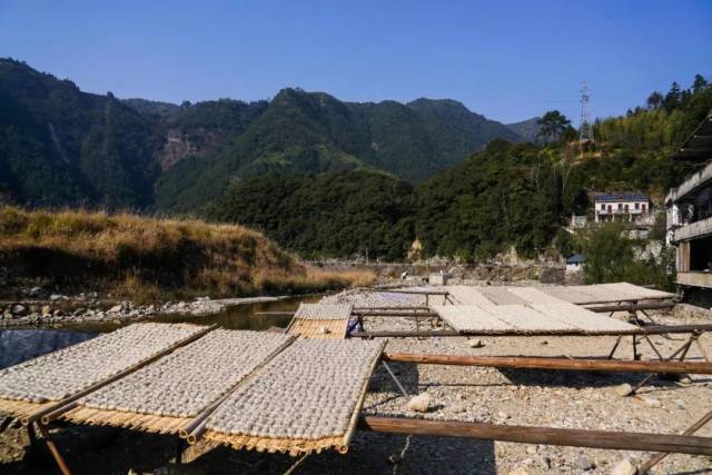 一碗手工山粉面,却吃出了时光的味道【百县千碗】