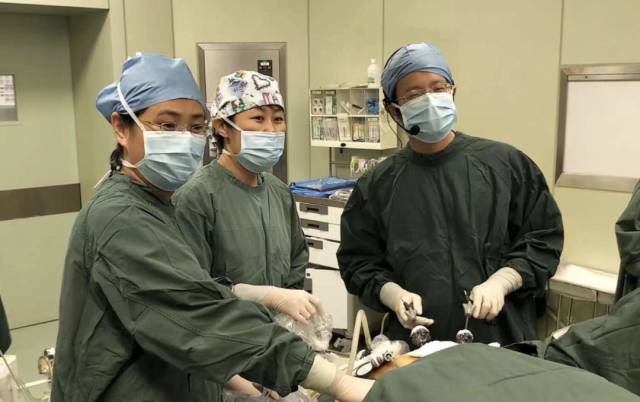 鱨2018Ұ֢ĸ΢߷̳йױѧḾ΢ֻʢĻ