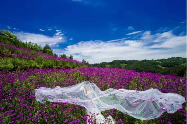 花海毕节 美美与共 ——毕节市加快推进旅游产业发展综述