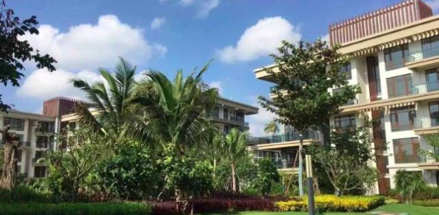 【国际资讯】荷兰生命公寓,给老人最好的生活方式就是给予他们快