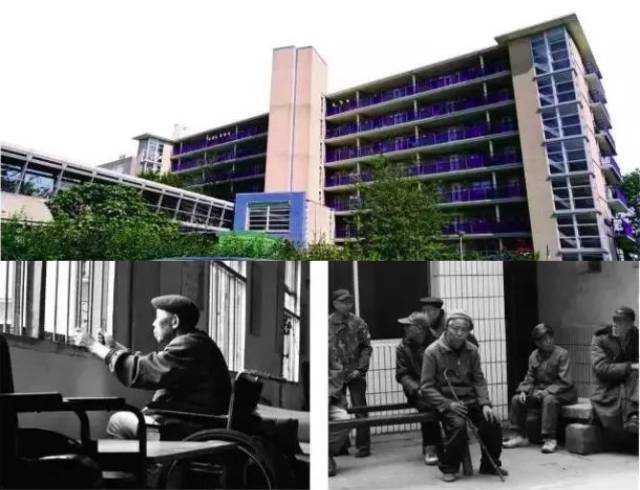 【国际资讯】荷兰生命公寓,给老人最好的生活方式就是给予他们快