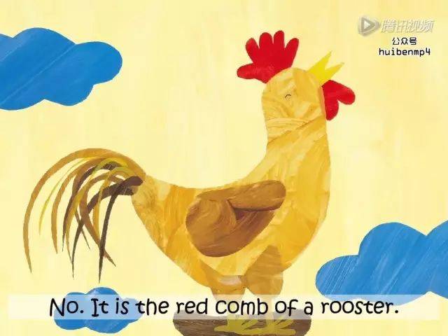 comb 鸡冠 rooster 公鸡