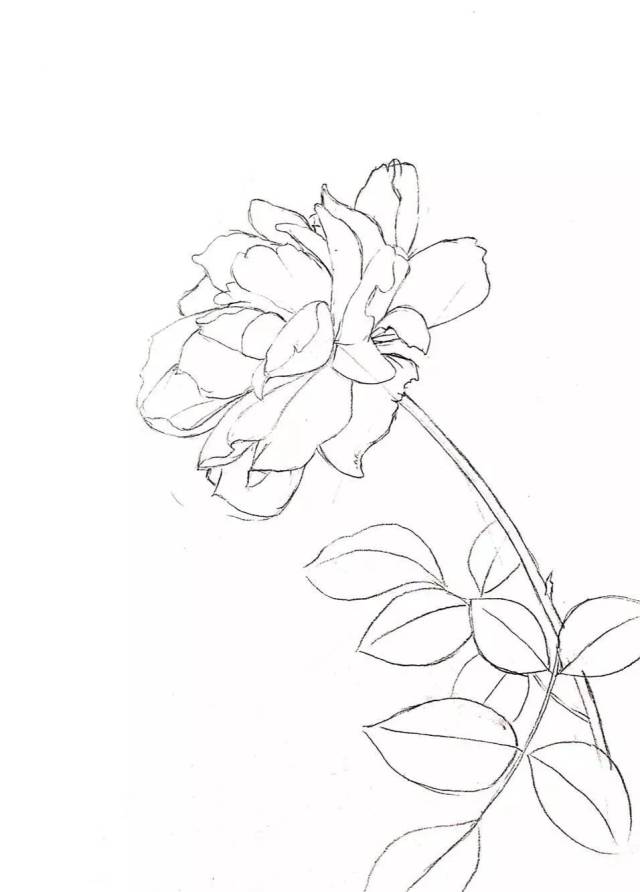 开始画画喽 纸:16k涂鸦本 画笔:0针管笔,005号针管笔,普通碳素笔