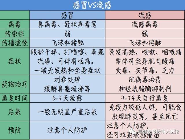 感冒和流感的区别 制图/张华