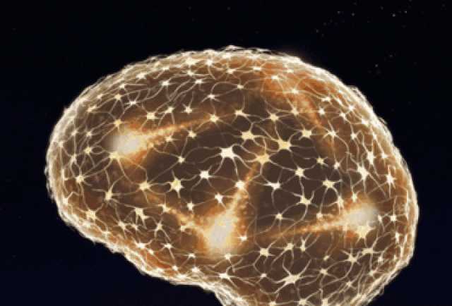 寰俊鍥剧墖_20181114121300.jpg 寰俊鍥剧墖_20181114121300.jpg