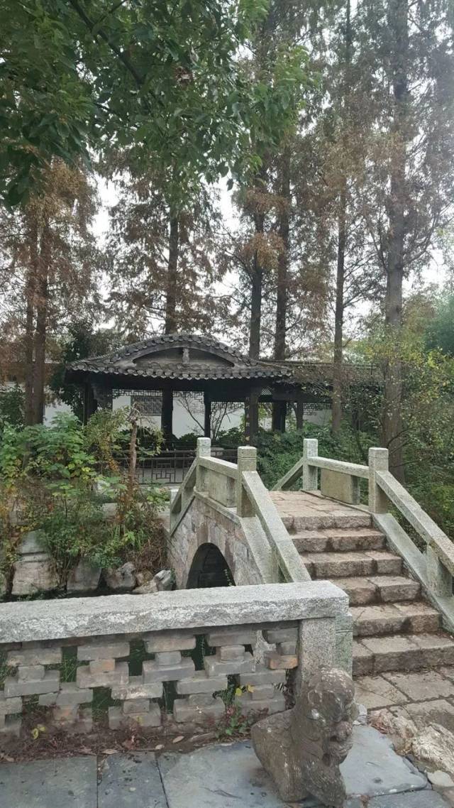 深入生活,扎根人民——铜陵市音乐家协会犁桥采风行