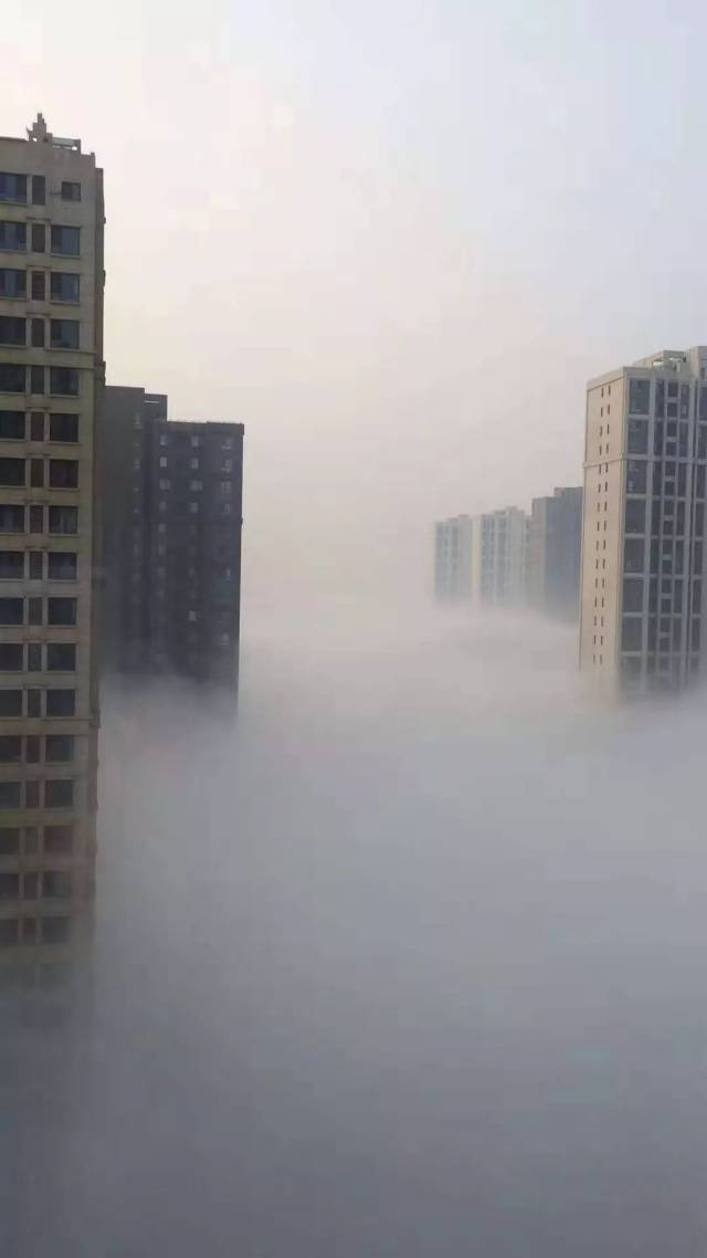 唐山市气象台说了,明天大雾继续!