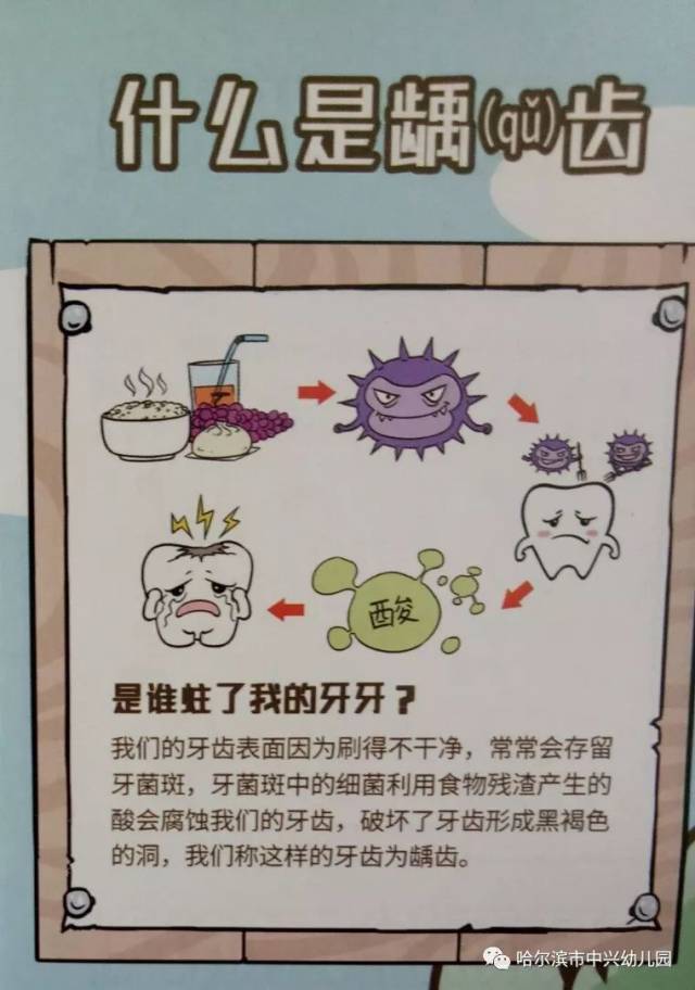 附有关牙齿小常识