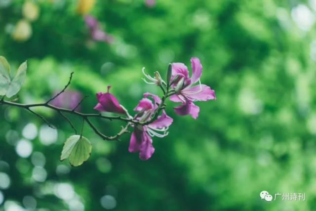 《让星星把我们照亮》文\/小维(广州)