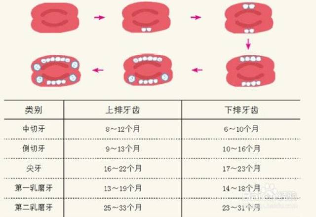 宝宝多大开始长牙,了解这些以免过分担忧