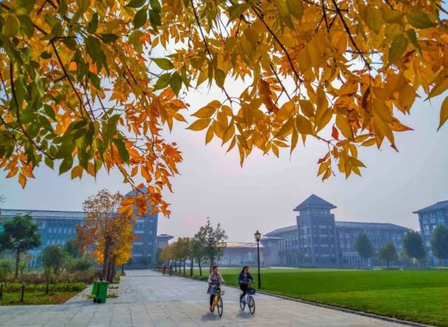 洛阳师范学院