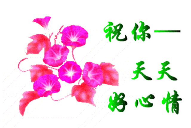 不用打字就可以聊天的图片_手机搜狐网