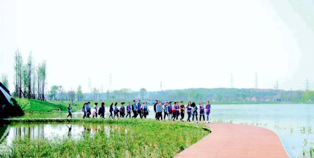 入选绿地中地势最高的绿地——位于龙泉山城市森林公园合江段丹景山上