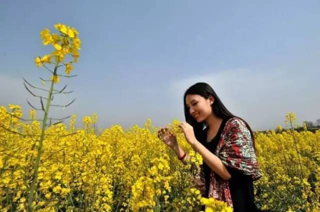 去吧,跟着你的蜂哥哥,他负责养蜂采蜜,你负责貌美如花,拍一部浪漫的寻