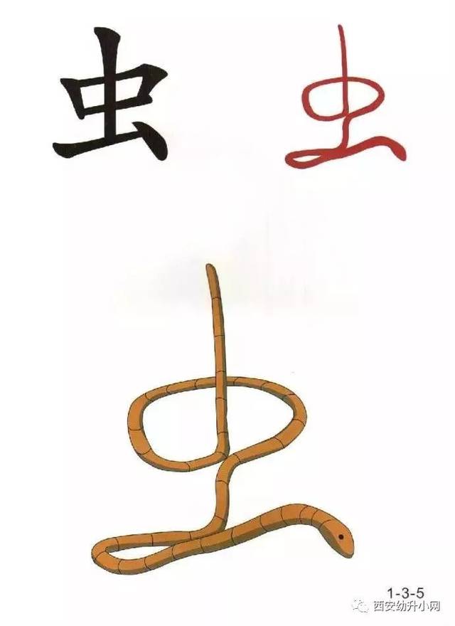 96张识字图汇总,教低年级孩子快速识字_手机搜狐网