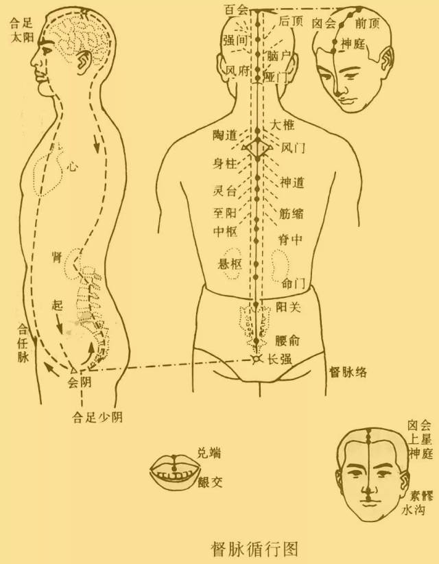 最有效的修行调息功法:逆腹式呼吸的7个要领讲解!