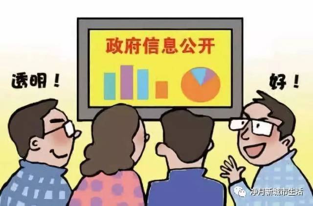 发布|国务院办公厅关于施行《中华人民共和国政府信息公开条例》若干