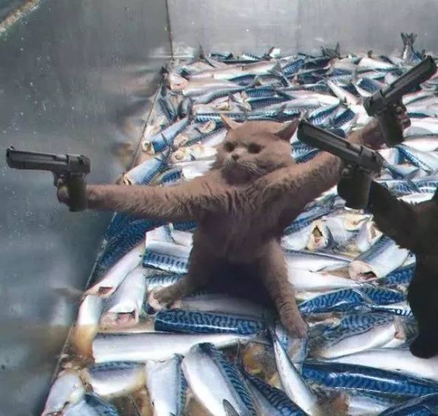 һమķ˽һ ӵ ͷ