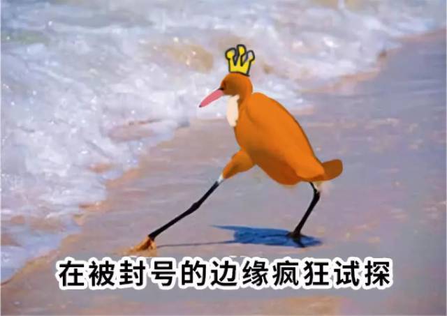 好多事情,让我们做公号的大家都紧张万分,每天都在消失的边缘疯狂试探