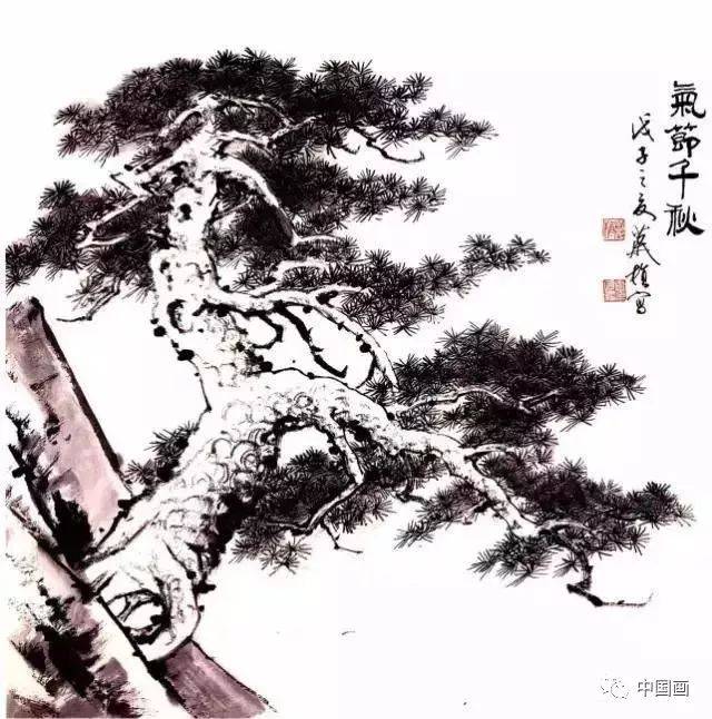 柏树多缠皮,纹理虬曲盘旋而上