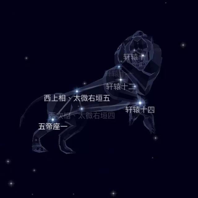 ▼ 狮子座