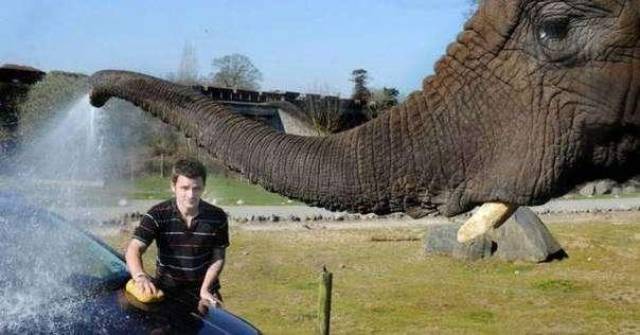 年轻厨师给女友写信:亲爱的,在煮汤和炒菜的时