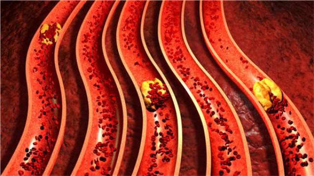 参与血压调节人体血管内皮细胞被破坏后,乙酰胆碱的血管扩张作用消失