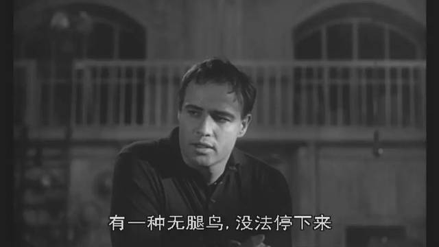 lumet)的《逃亡者》(the fugitive kind,一译《漂泊者》)已经提到