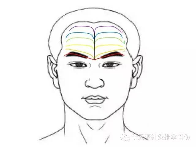 《听故事学推拿031》前额部保健第一法"分推前额"