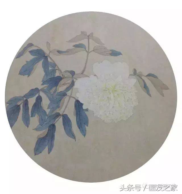 工笔荷花,牡丹,玉兰步骤画法,美美哒