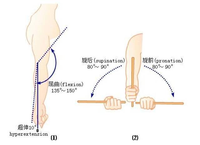 肘关节功能锻炼方法