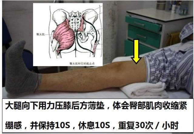 1床上等长肌力训练: 图4股四头肌等长收缩图5腘绳肌等长收缩(训练要求