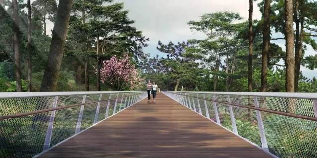 厦门健康步道一大波美图流出!10公里空中走廊!