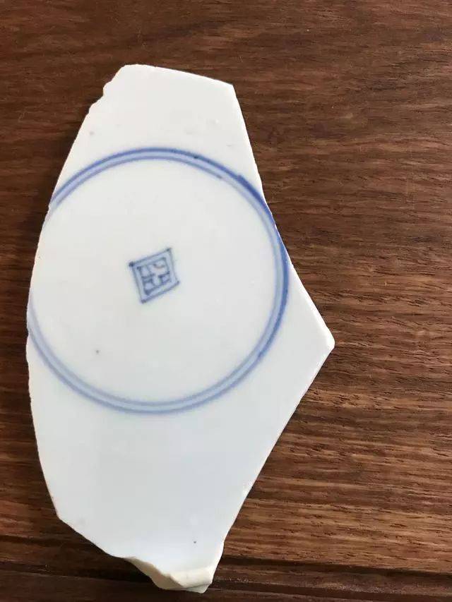 洛阳树威古瓷鉴藏博物馆举办康熙青花瓷器和标本学习研究和鉴赏活动