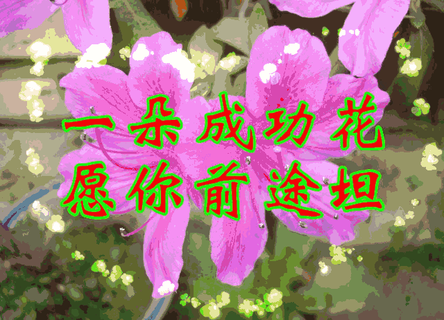 Ըĵ  ף 彡,˳ 