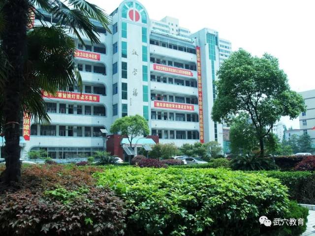 育才高中:砥砺奋斗二十五载,铸就新时代教育辉煌