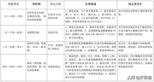 柑橘种植全年物候期管理