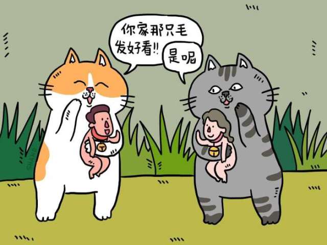 挑拨是非的研究:爱猫人士和爱狗人士谁更聪明?