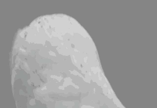矿物岩石 320_220 gif 动态图 动图