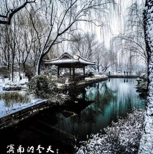 宁晋朗读:济南的冬天 | 共读社