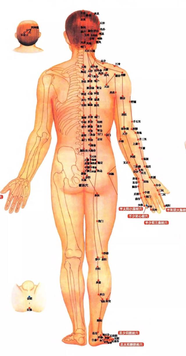 经络—十二经脉体表走向及命名规律_手机搜狐网