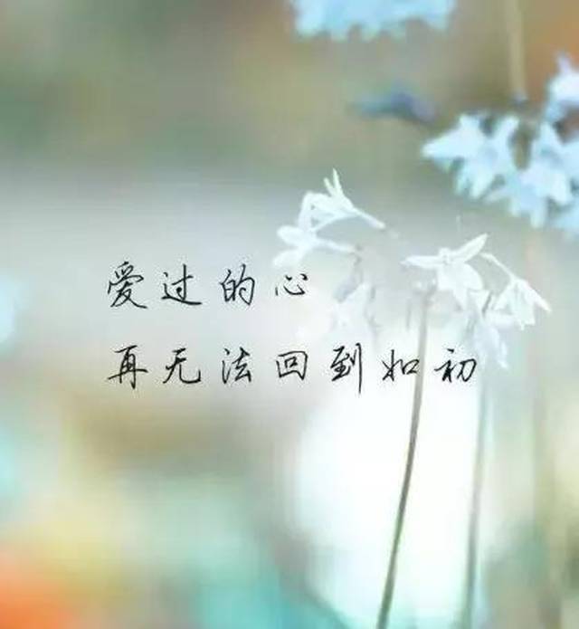 有一种爱,叫爱而不得,却永远牵挂!