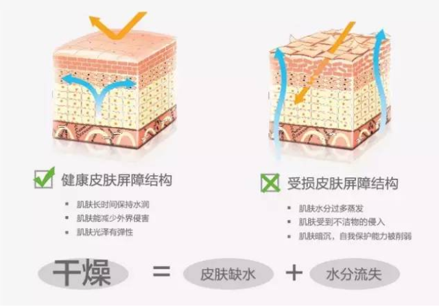 护肤小课堂丨皮肤屏障受损到底是个啥?