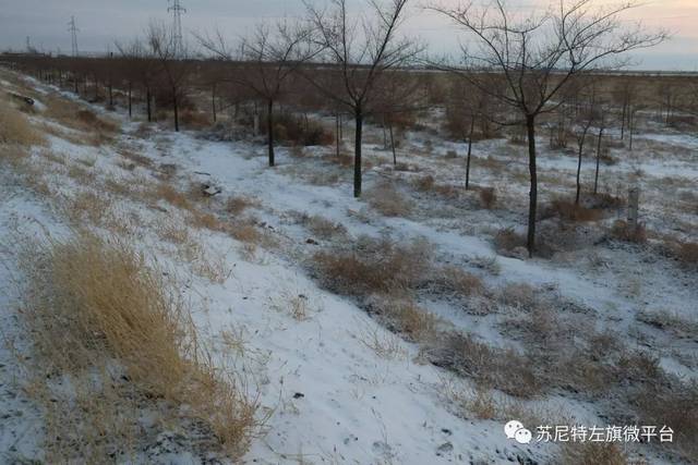 有效地降低了草原火险等级,但路面有积雪或结冰,对交通运输会造成不利