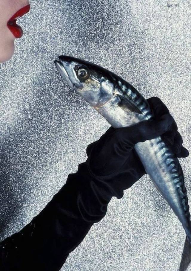 色即是色:摄影大师盖·伯丁 | 法国原版黑皮书系