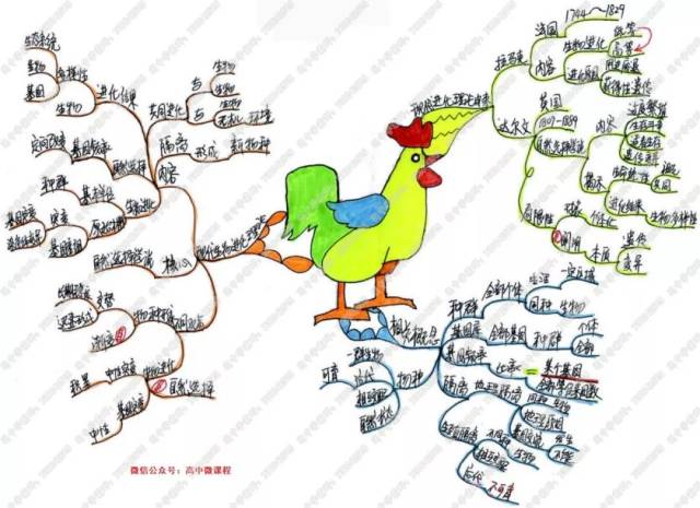 高中生物必修2知识点思维导图