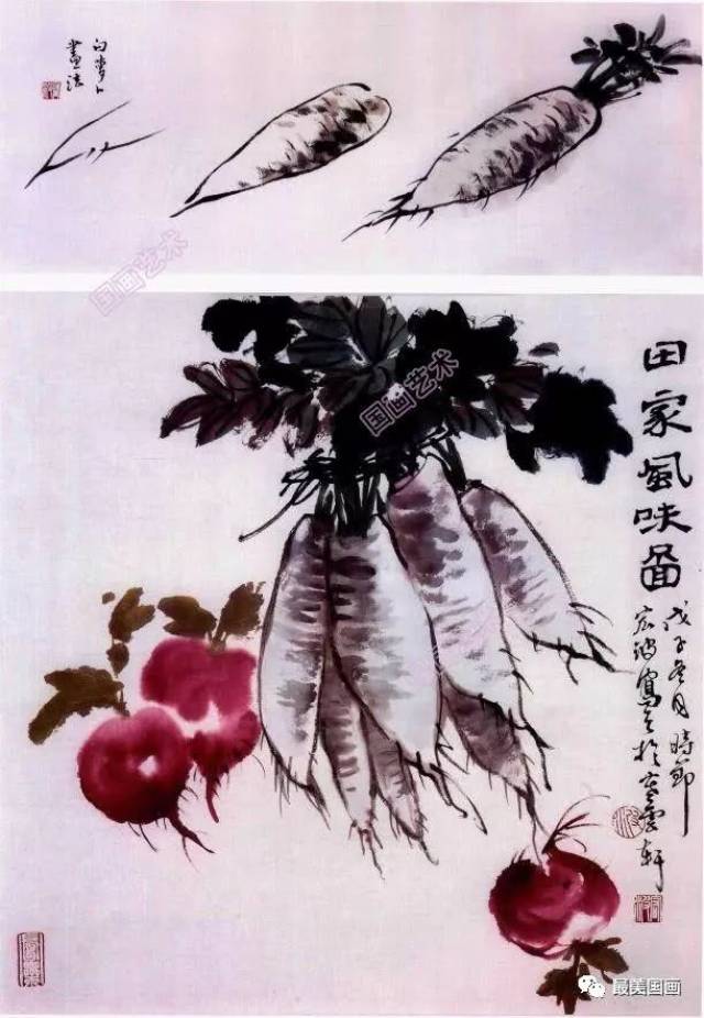 各种萝卜写意画法创作示范,萝卜的写意画法教程